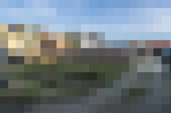 Molendijk 100 Nieuwe-Tonge thumbnail 29