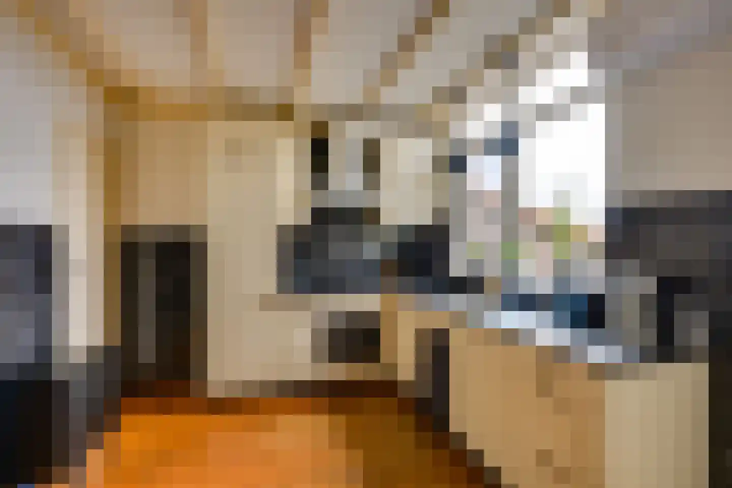Molendijk 102 Nieuwe-Tonge thumbnail 18