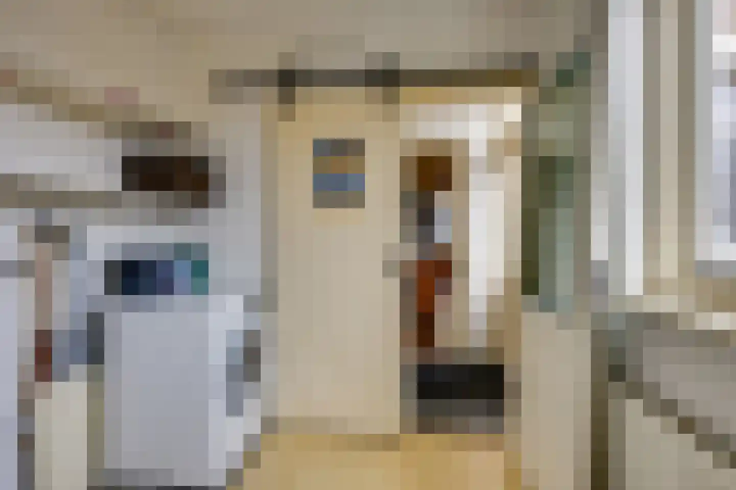 Molendijk 102 Nieuwe-Tonge thumbnail 21