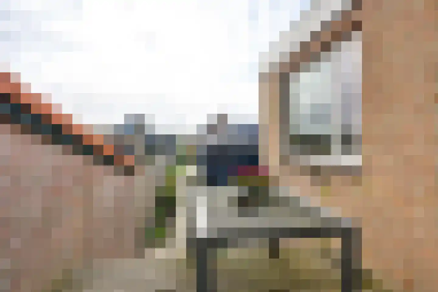 Molendijk 102 Nieuwe-Tonge thumbnail 33