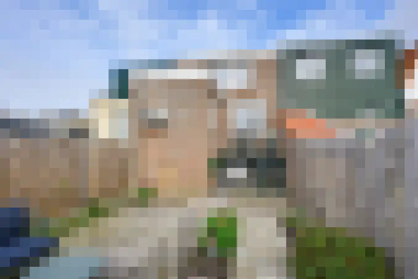 Molendijk 102 Nieuwe-Tonge thumbnail 39