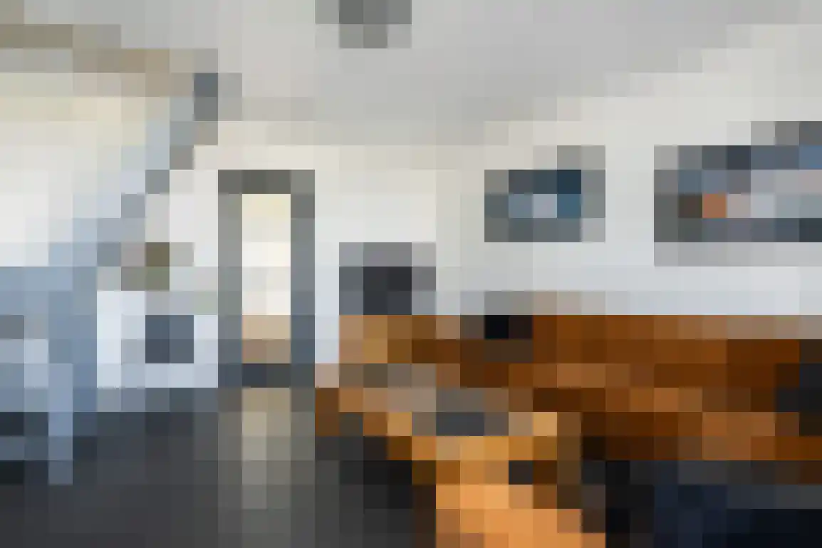 Molendijk 108 Nieuwe-Tonge thumbnail 10