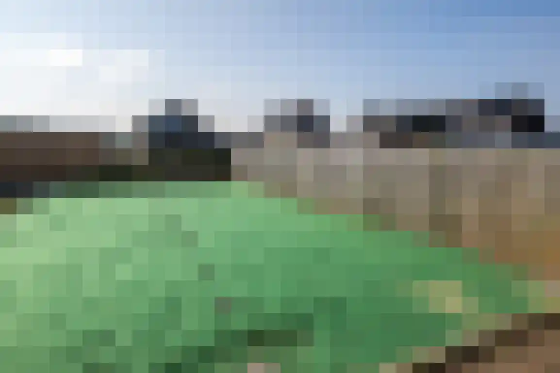 Molendijk 108 Nieuwe-Tonge thumbnail 27