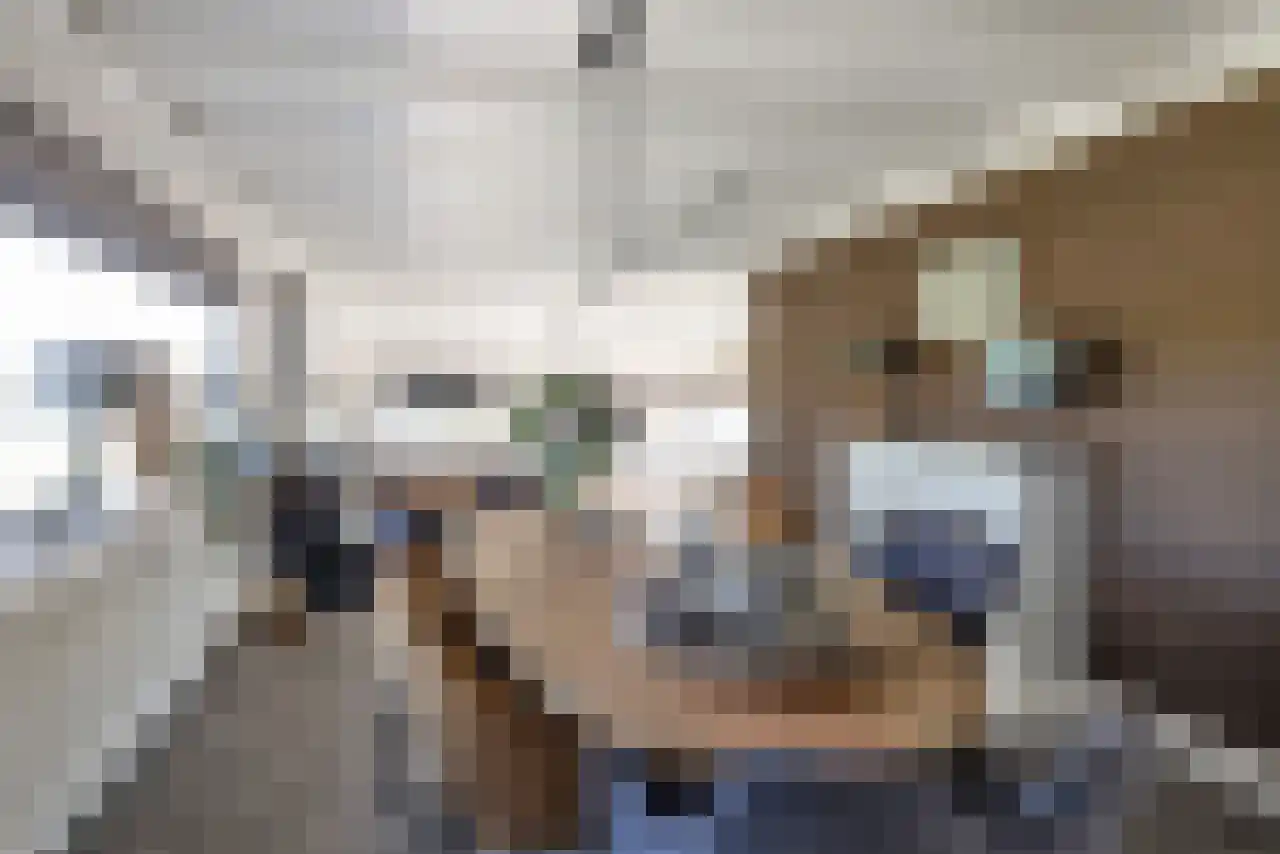 Molendijk 11 a ab Krimpen aan de Lek thumbnail 18