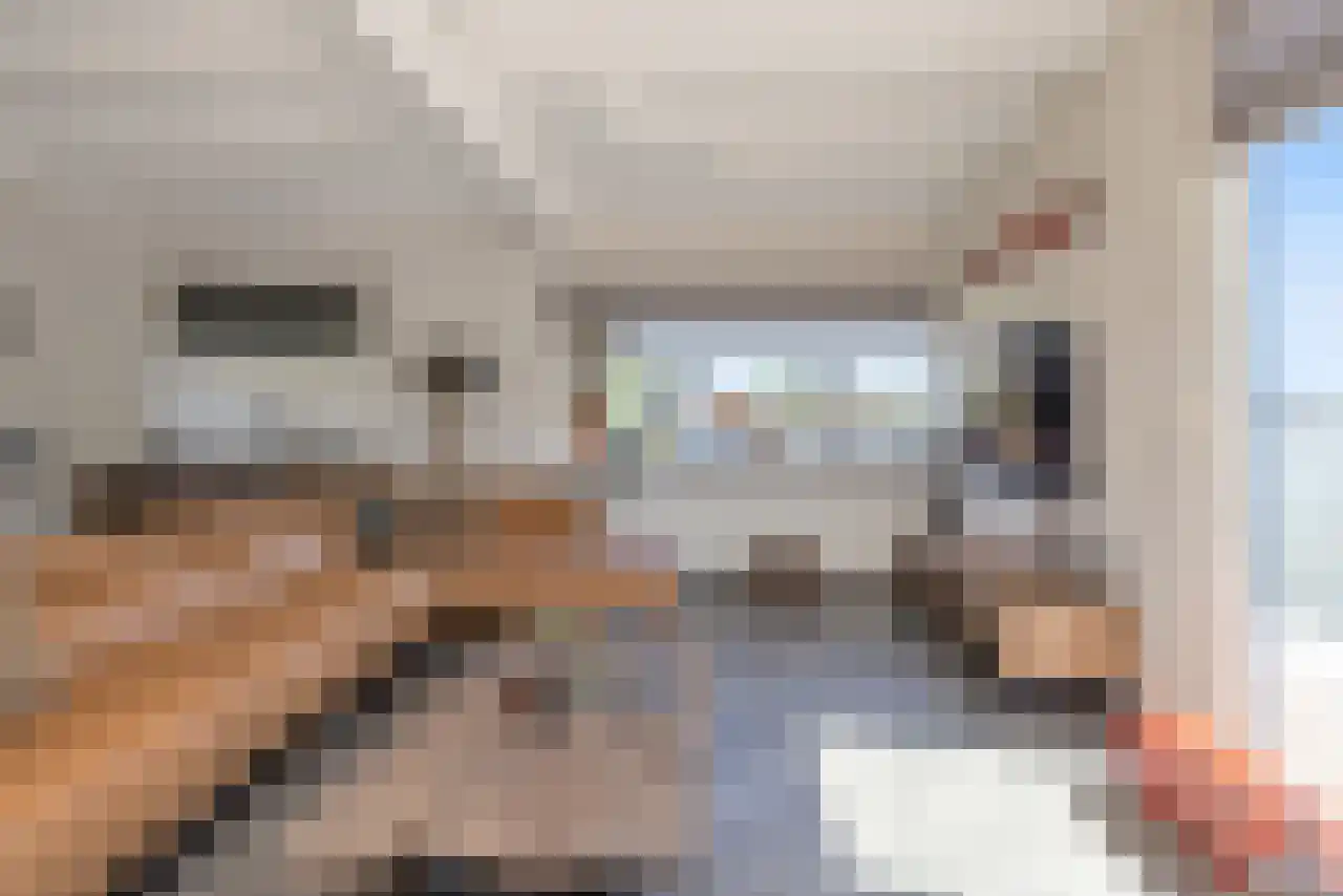 Molendijk 11 a ab Krimpen aan de Lek thumbnail 24