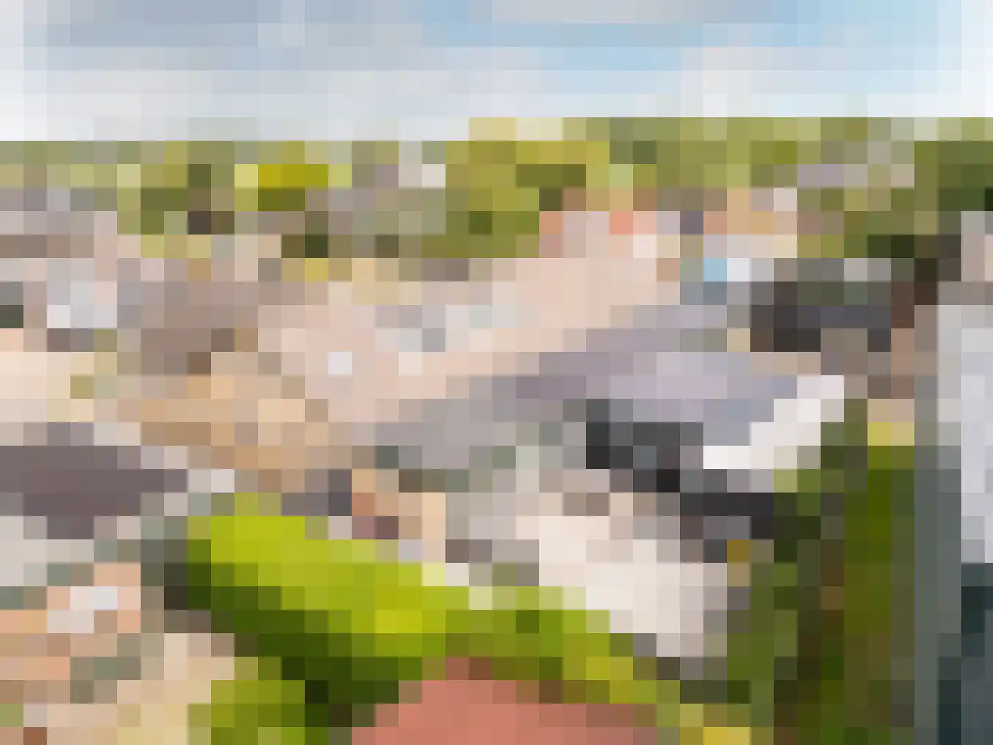 Molendijk 11 Rockanje thumbnail 4