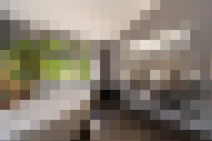 Molendijk 110 Klaaswaal thumbnail 27