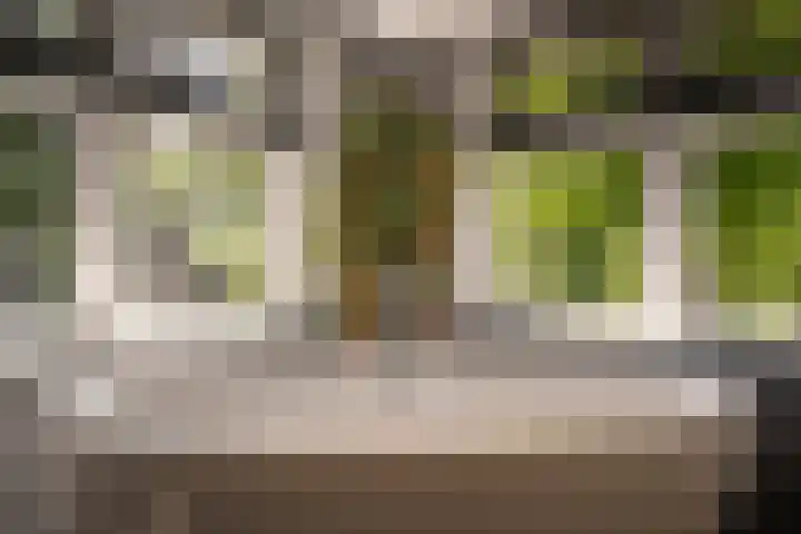 Molendijk 110 Klaaswaal thumbnail 31