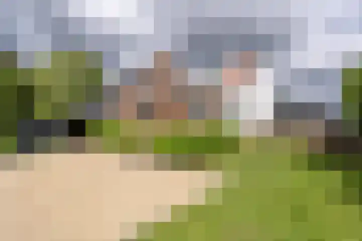 Molendijk 110 Klaaswaal thumbnail 51