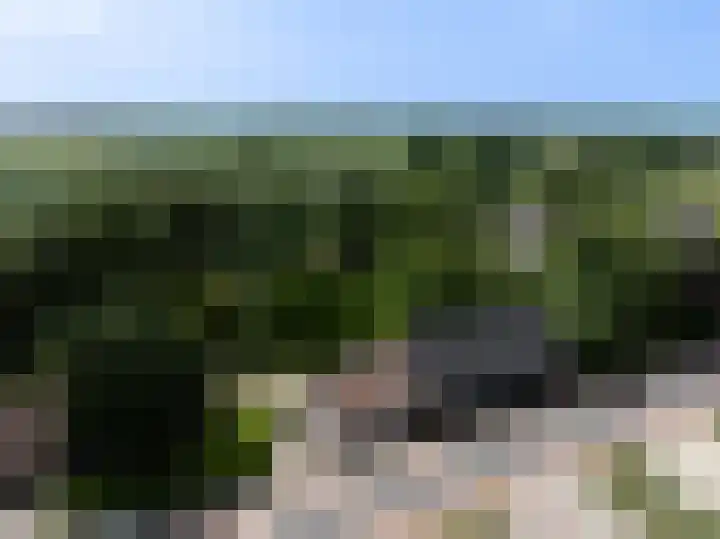 Molendijk 110 Klaaswaal thumbnail 6