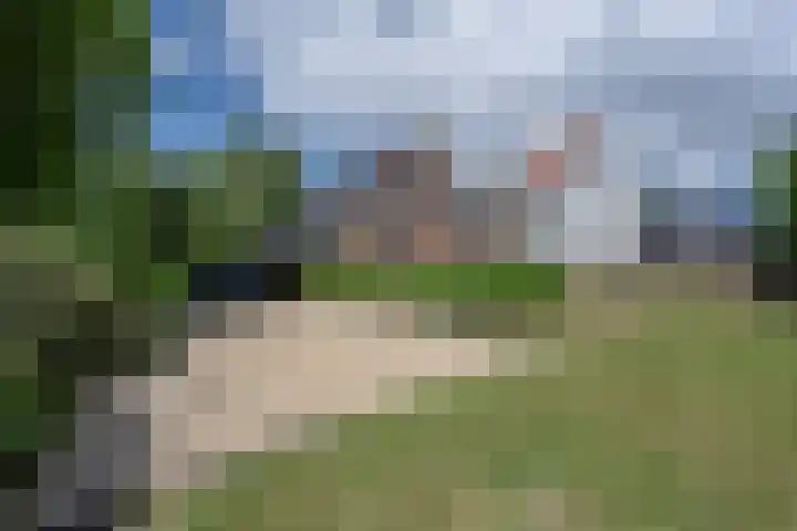 Molendijk 110 Klaaswaal thumbnail 7