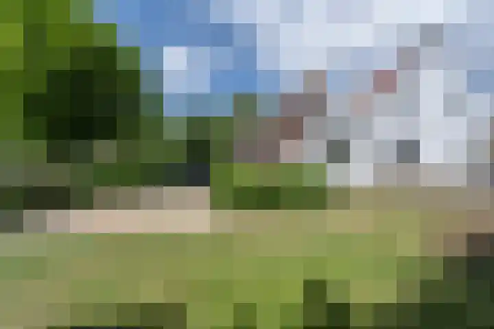 Molendijk 110 Klaaswaal thumbnail 8