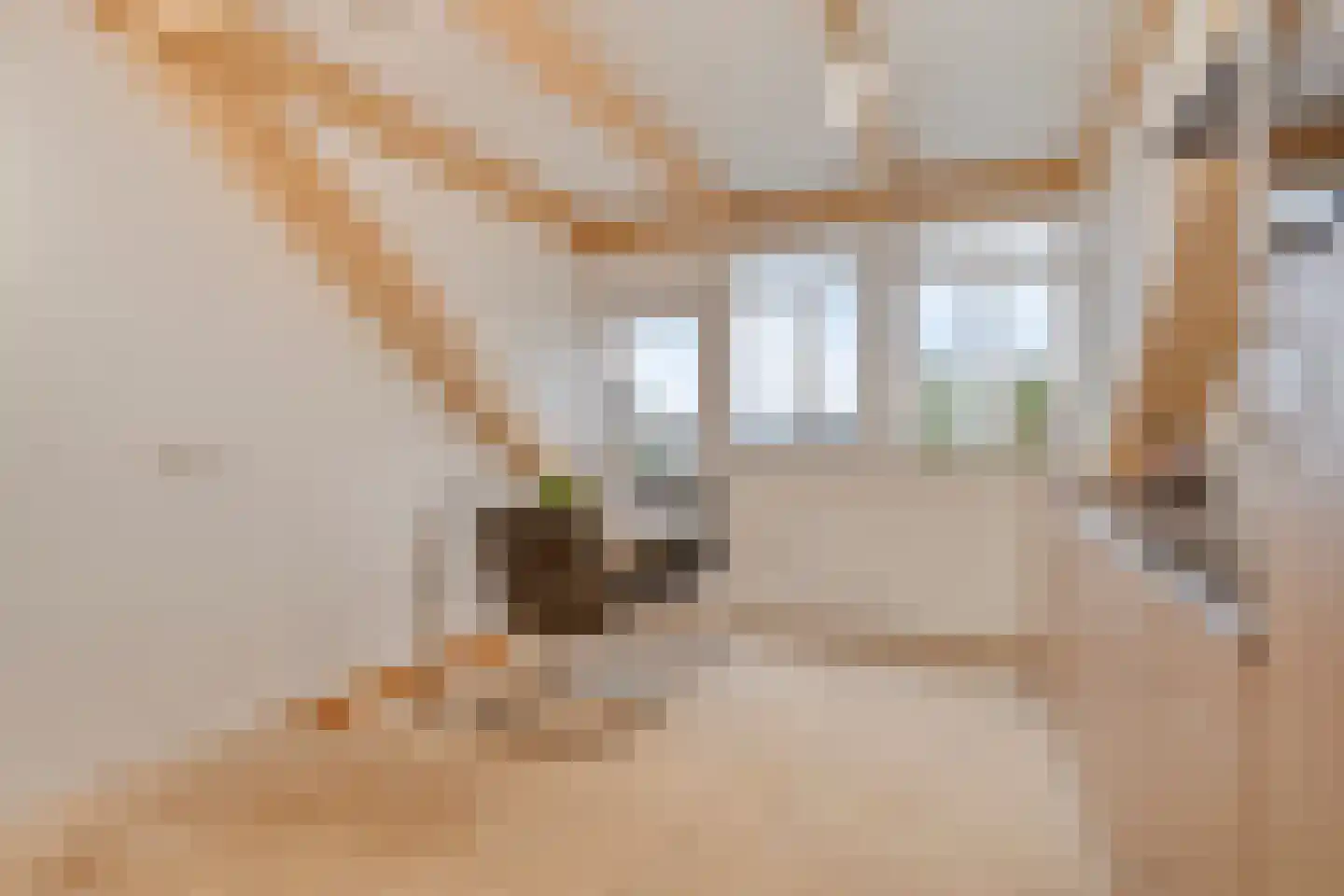 Molendijk 12 Stavenisse thumbnail 21