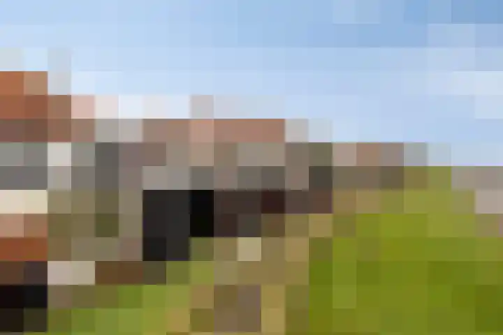 Molendijk 12 Stavenisse thumbnail 42