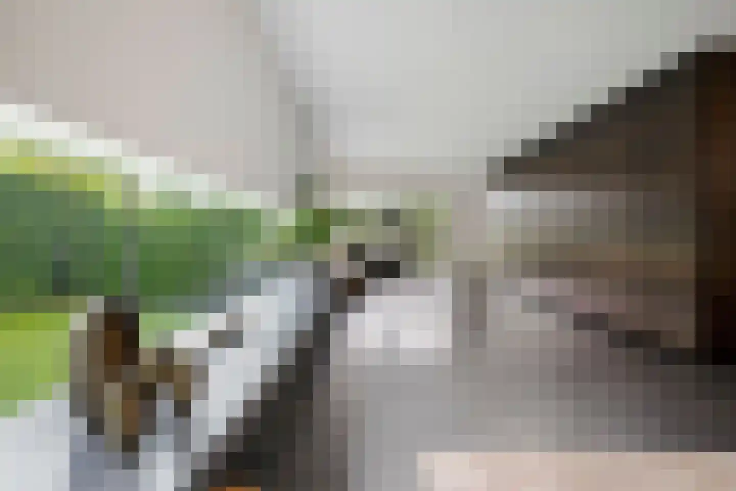 Molendijk 12 Stein thumbnail 17