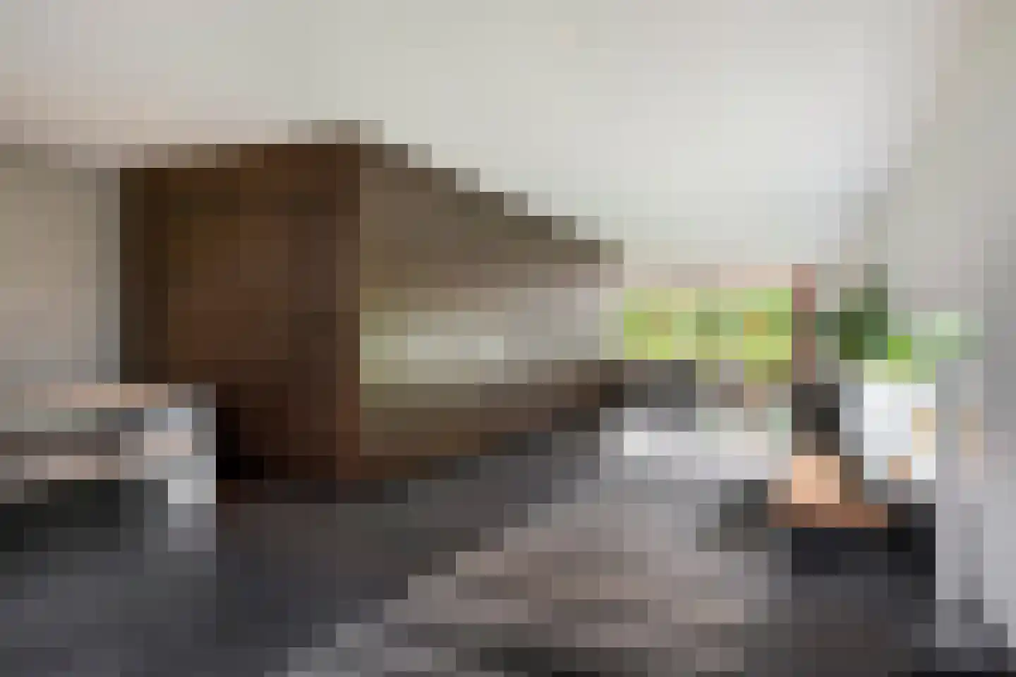 Molendijk 12 Stein thumbnail 18