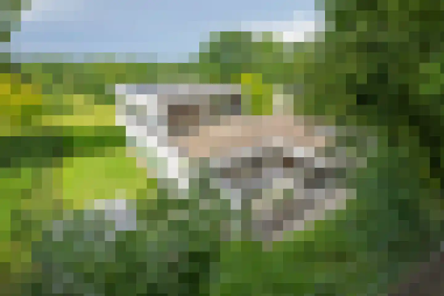 Molendijk 12 Stein thumbnail 5