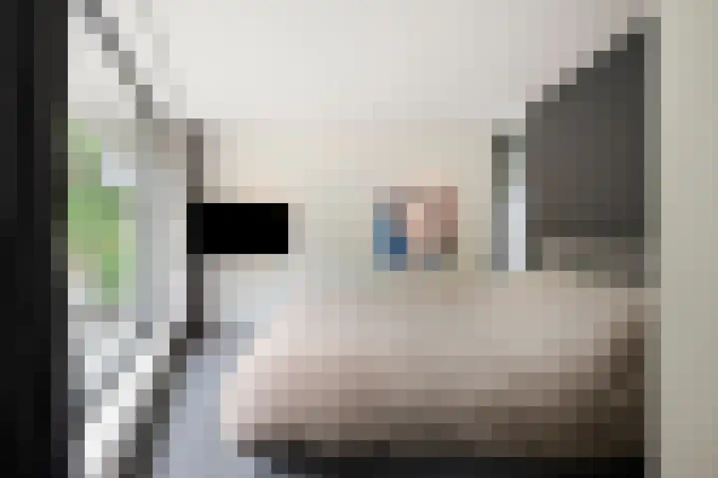 Molendijk 12 Stein thumbnail 51