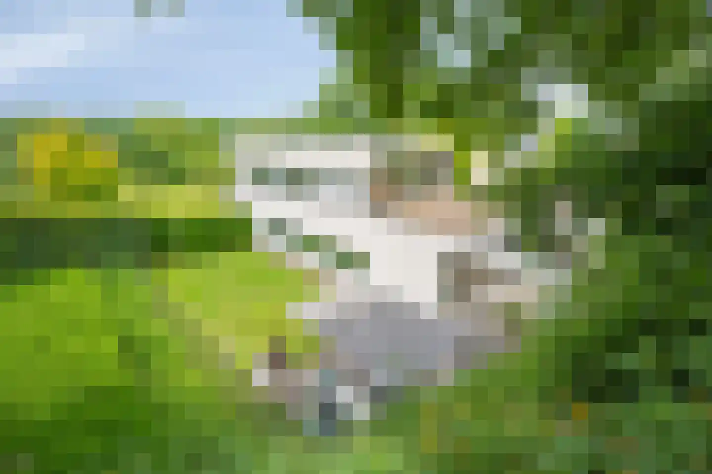 Molendijk 12 Stein thumbnail 68
