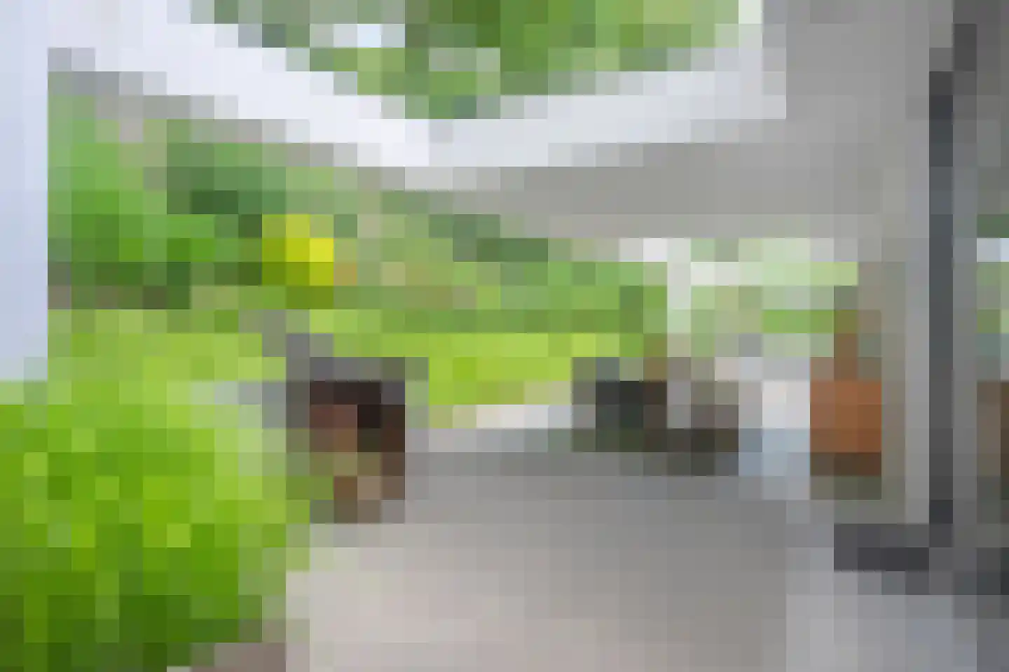 Molendijk 12 Stein thumbnail 70