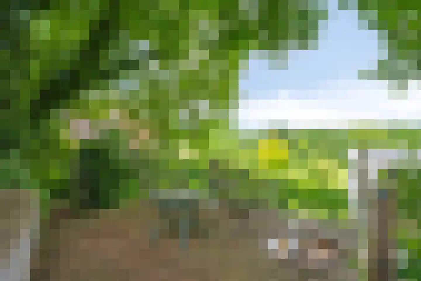 Molendijk 12 Stein thumbnail 73