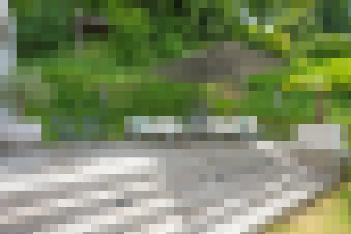 Molendijk 12 Stein thumbnail 78