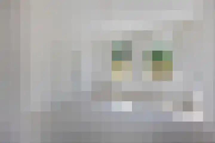 Molendijk 120 Krimpen aan de Lek thumbnail 15