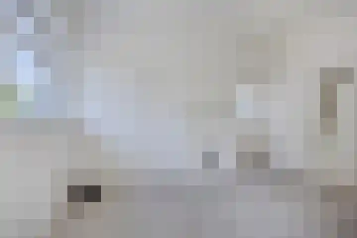 Molendijk 120 Krimpen aan de Lek thumbnail 16