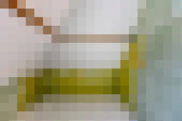 Molendijk 120 Krimpen aan de Lek thumbnail 24