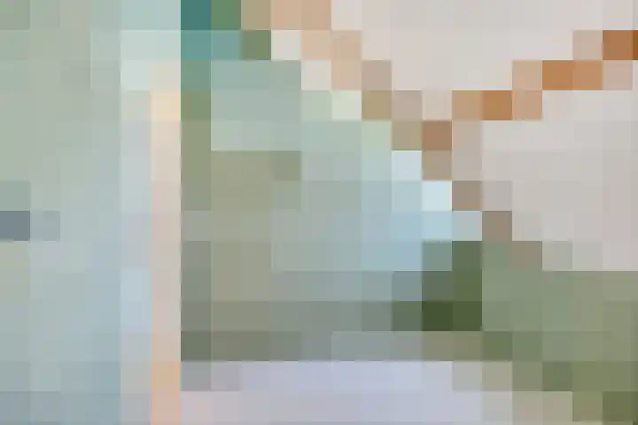 Molendijk 120 Krimpen aan de Lek thumbnail 25