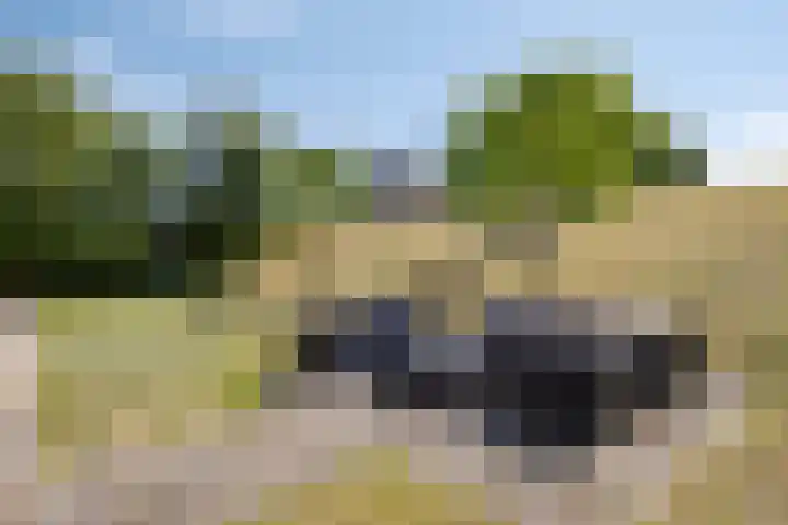 Molendijk 120 Krimpen aan de Lek foto 3