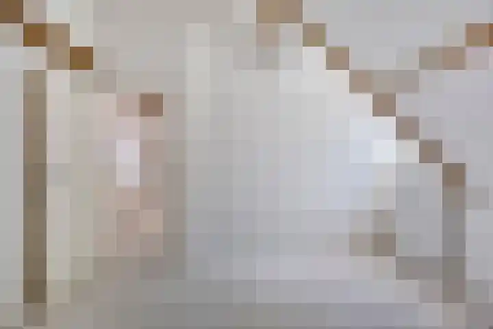 Molendijk 120 Krimpen aan de Lek thumbnail 31