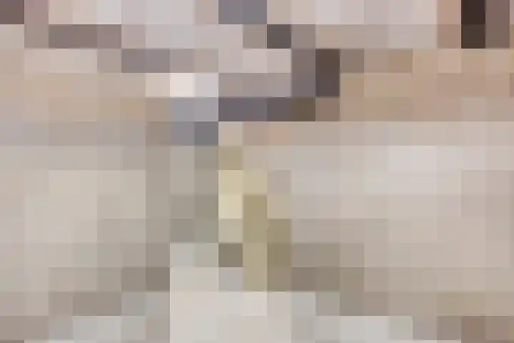 Molendijk 120 Krimpen aan de Lek thumbnail 36