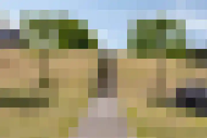 Molendijk 120 Krimpen aan de Lek thumbnail 39