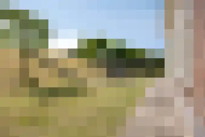 Molendijk 120 Krimpen aan de Lek thumbnail 40
