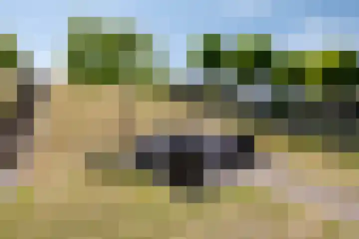 Molendijk 120 Krimpen aan de Lek thumbnail 41