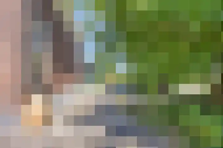 Molendijk 120 Krimpen aan de Lek thumbnail 43