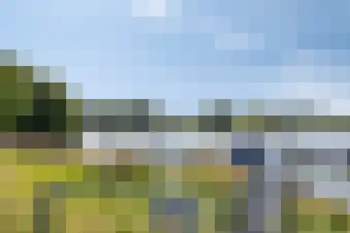 Molendijk 120 Krimpen aan de Lek thumbnail 46