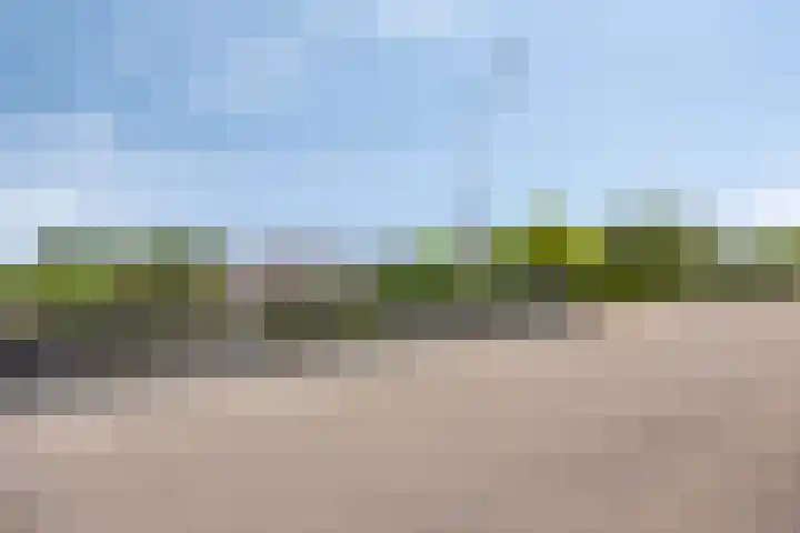 Molendijk 120 Krimpen aan de Lek thumbnail 47