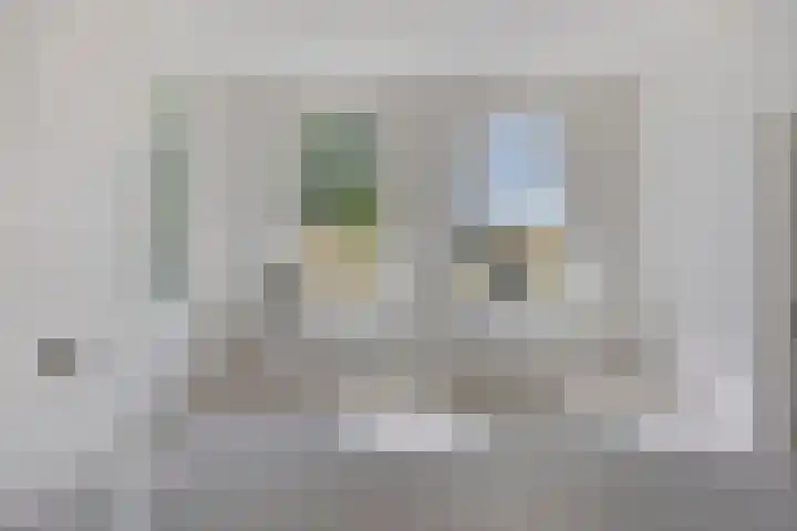 Molendijk 120 Krimpen aan de Lek thumbnail 9