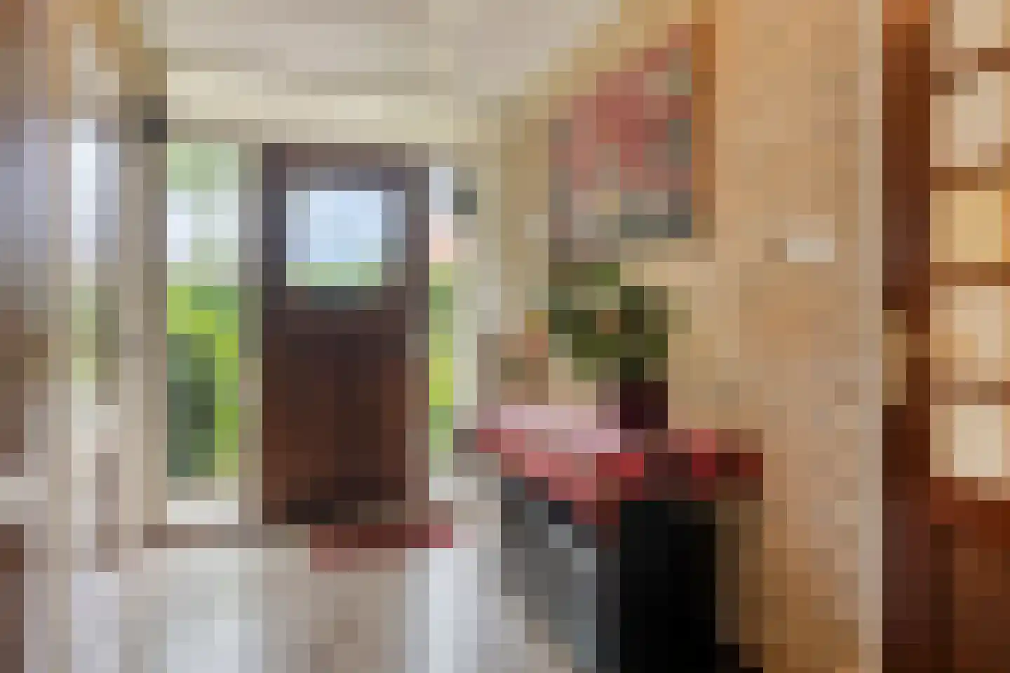 Molendijk 13 Boxmeer thumbnail 10
