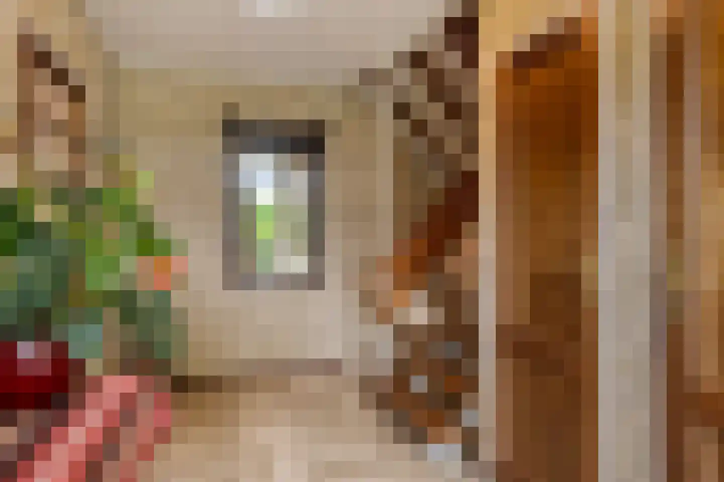 Molendijk 13 Boxmeer thumbnail 11