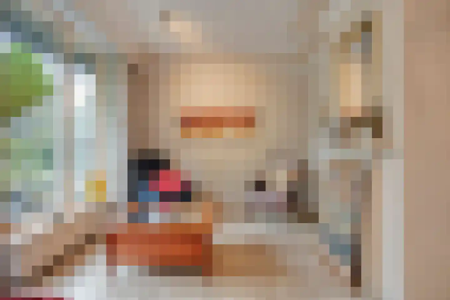 Molendijk 13 Boxmeer thumbnail 14