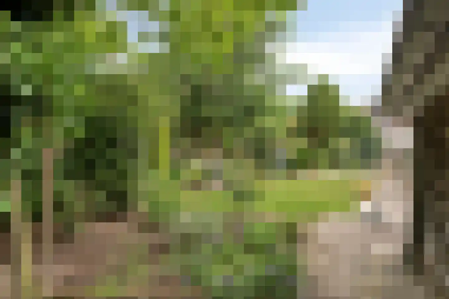 Molendijk 13 Boxmeer thumbnail 45