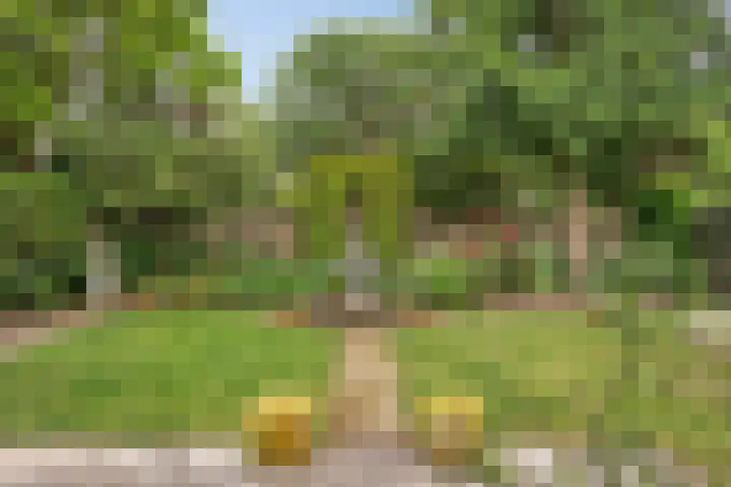 Molendijk 13 Boxmeer thumbnail 48