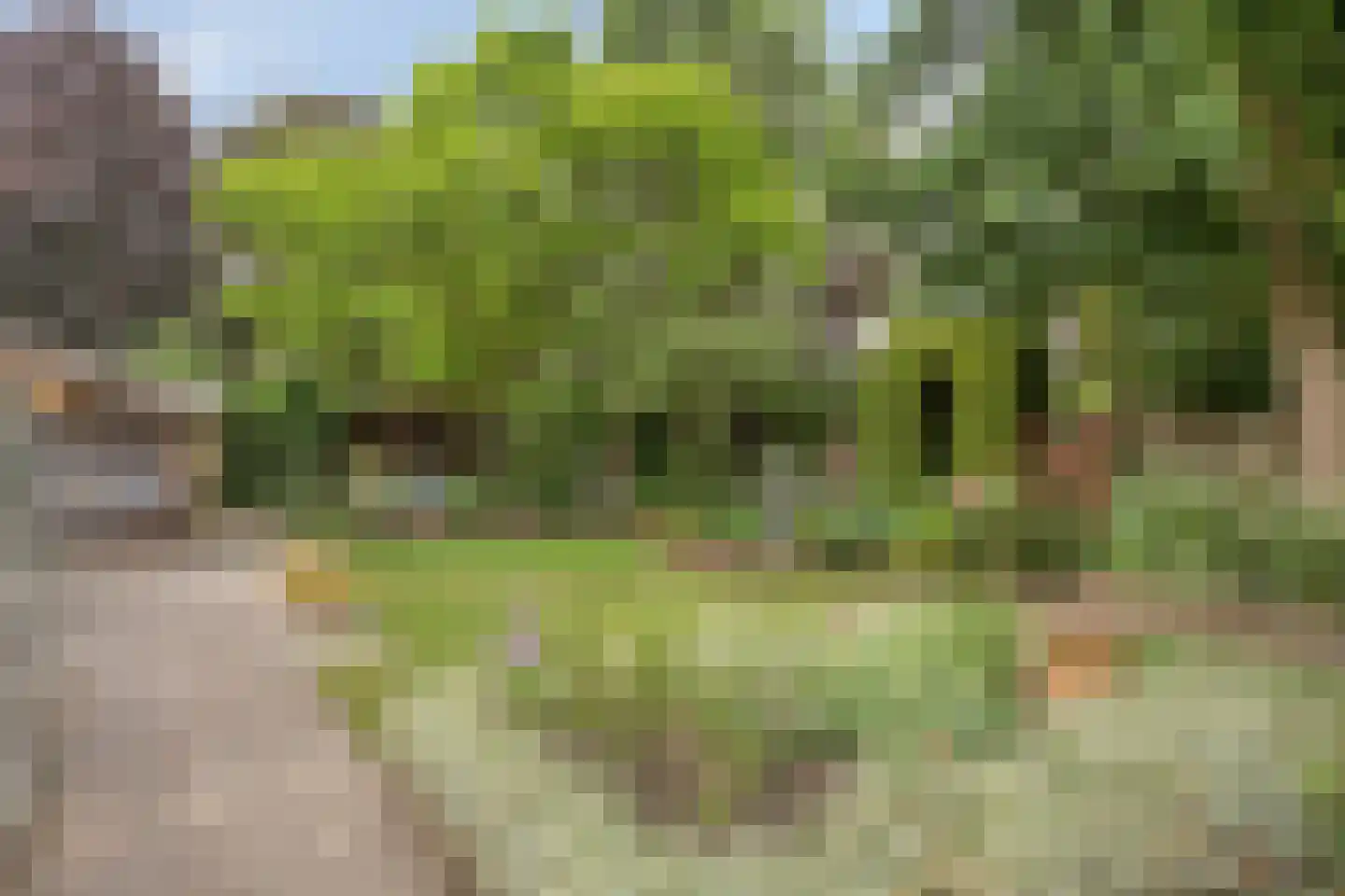 Molendijk 13 Boxmeer thumbnail 52