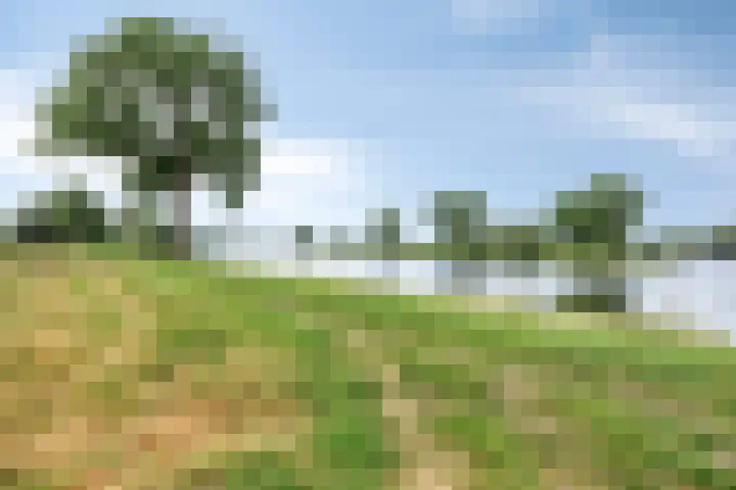 Molendijk 13 Boxmeer thumbnail 55