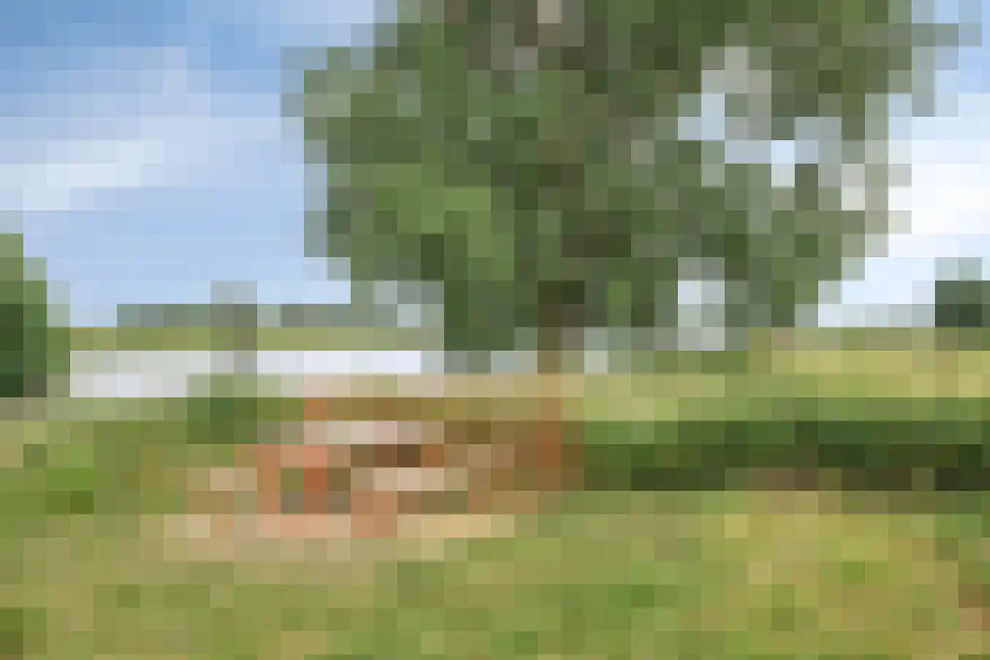 Molendijk 13 Boxmeer thumbnail 56