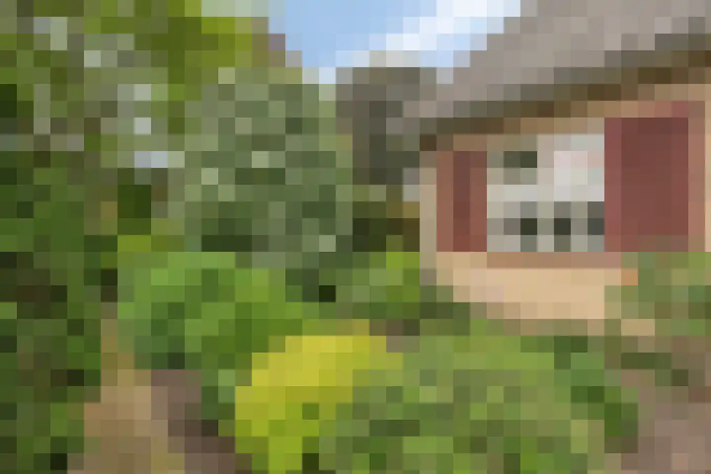 Molendijk 13 Boxmeer thumbnail 7