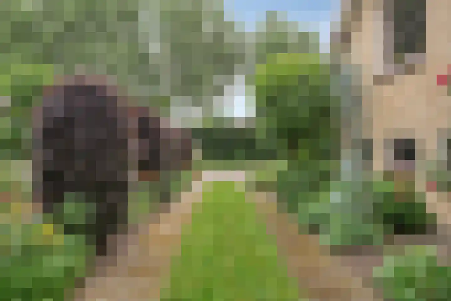 Molendijk 13 Boxmeer thumbnail 9